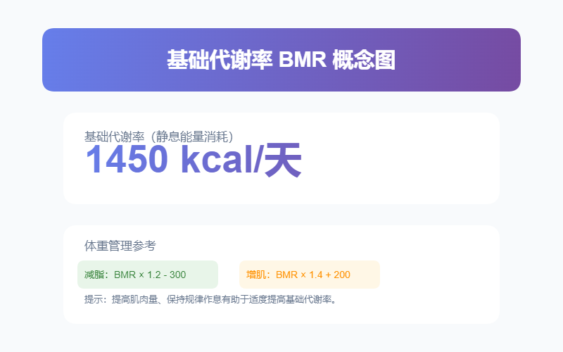 基础代谢率计算器界面示意图_BMR在线计算每日基础代谢热量